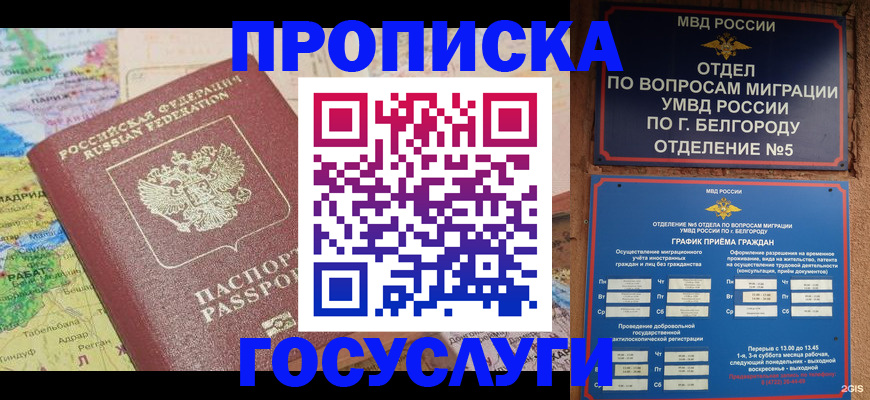 прописка регистрация в Тереке